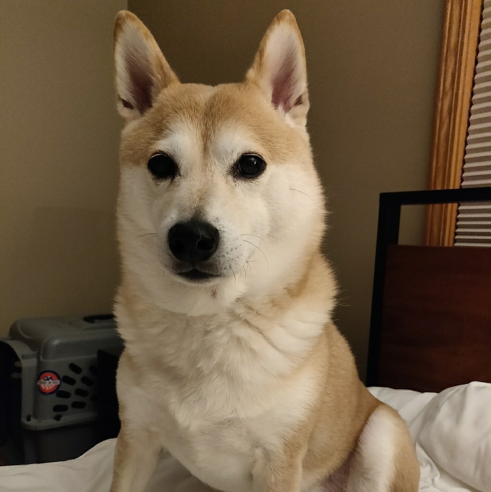 Meet your Posher, Melissa